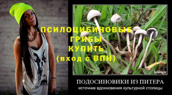 бошки Козельск