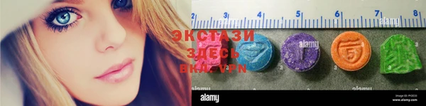 прущие грибы Алзамай
