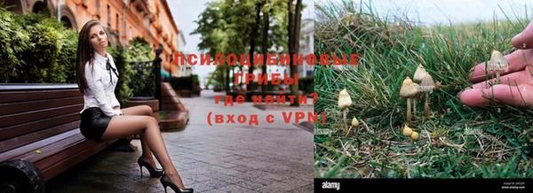 прущий лед Козловка