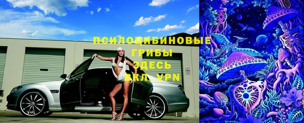 прущие грибы Алзамай