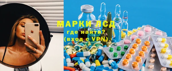 прущие грибы Алзамай