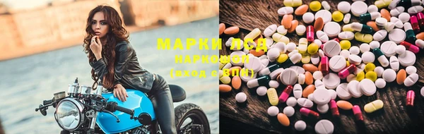прущие грибы Алзамай