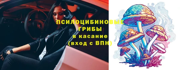 прущие грибы Алзамай