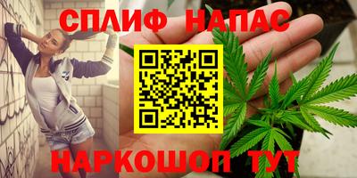 сатива Вышний Волочёк