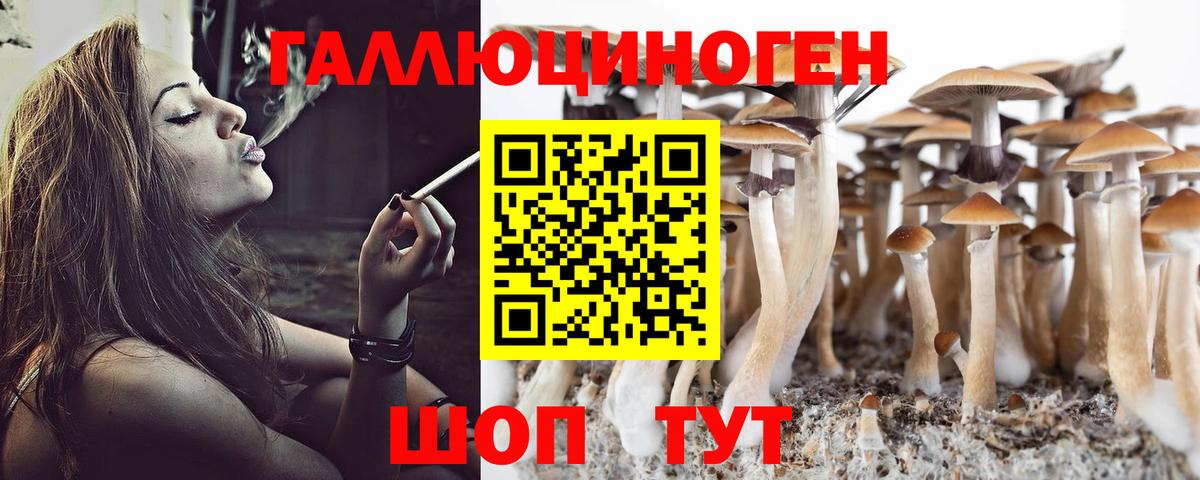 Псилоцибиновые грибы ЛСД  Вход с VPN  Галлюциногенные грибы ЛСД  Переславль-Залесский 